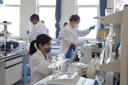 第三届山东省生态环境监测专业技术人员大比武在滨州成功举行，网络技术服务保驾护航